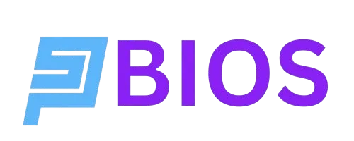 PS2 Bios Logo
